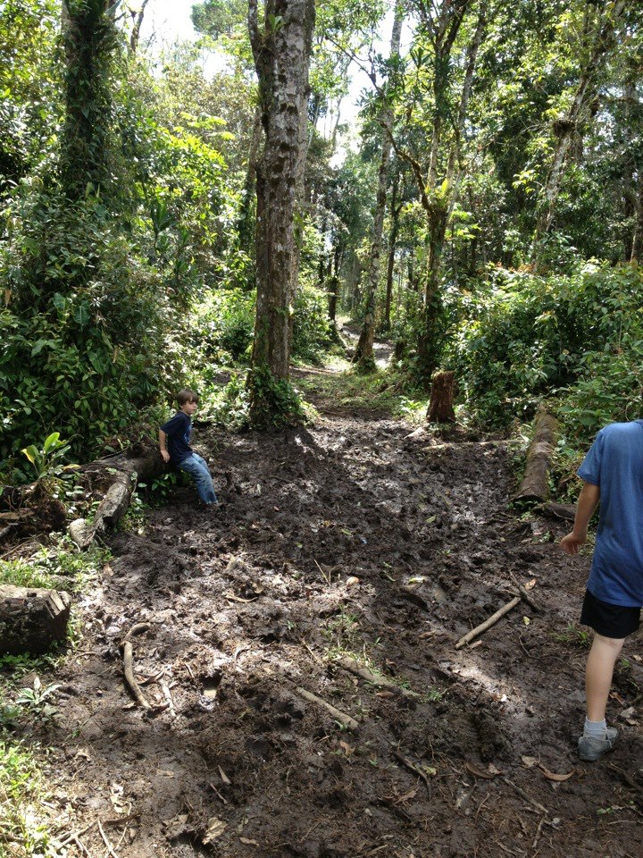 muddy road